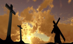 Chúa nhật Lễ Lá. Vác thập giá với Chúa Giê-su