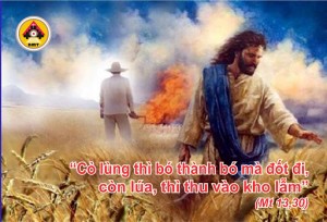 Chúa nhật 16 TN A. Thiên Chúa không tiêu diệt người tội lỗi