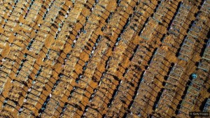 Vì sao thảm họa càng chết chóc, con người càng vô cảm?