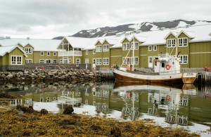 Iceland - Quốc gia chỉ có một con muỗi