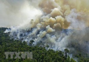 Giới khoa học lo ngại sẽ chứng khiến thêm nhiều thảm họa thiên nhiên