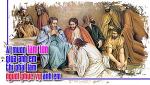 Chúa nhật 25 TN B. Hai cách đánh giá