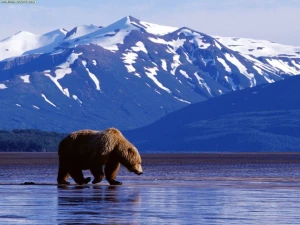 Alaska: 'Kho báu xa xôi' của Mỹ và hoài niệm buồn của người Nga
