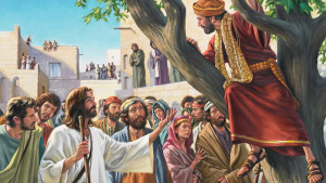 Chúa nhật 31 TN C. Khơi lên mầm tốt