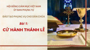 Hướng dẫn cử hành thánh lễ theo Tông thư Desiderio Desideravi (DD) của Đức Thánh Cha Phanxicô