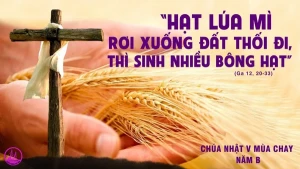 Chúa nhật 5 Mùa Chay B. Bí quyết đạt được sự sống đời đời