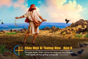 Chua nhat 11 tn nam B