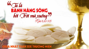 Chúa nhật 19 TN B. Bánh tình thương