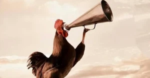 Bị hàng xóm kiện vì để gà trống gáy quá to