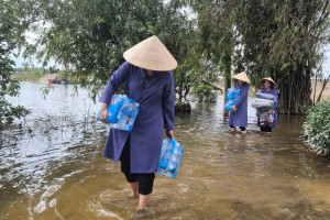 Những chiếc lúp lặng lẽ bay trong gió trong mùa mưa bão
