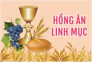 Chúc mừng Tân Linh mục Phêrô Nguyễn Bảo Lộc F1/HT67