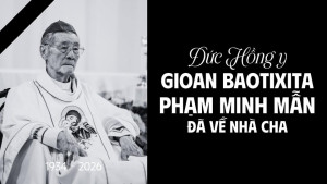 Đức Hồng y Gioan Baotixita Phạm Minh Mẫn đã được Chúa gọi về