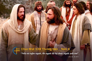 chua nhat 23 tn A
