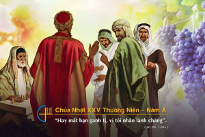 Chua nhat 25 tn a