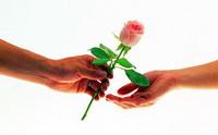 Valentine's Day.