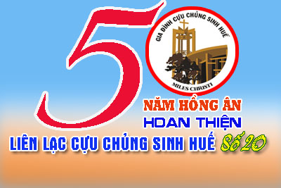 LL số 20.