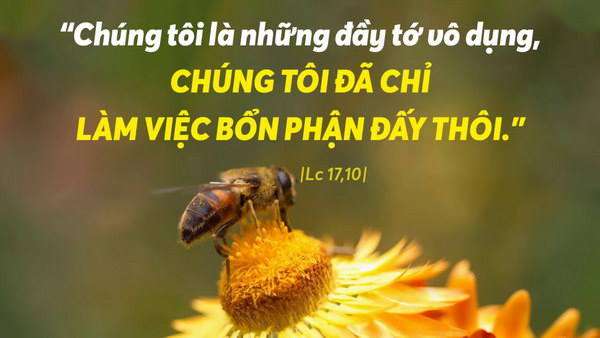 Chúa nhật 27 TN C. Làm tròn bổn phận người tôi tớ