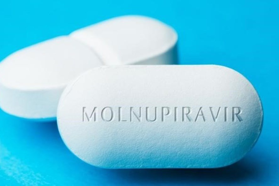 thuoc khang virus molnupiravir