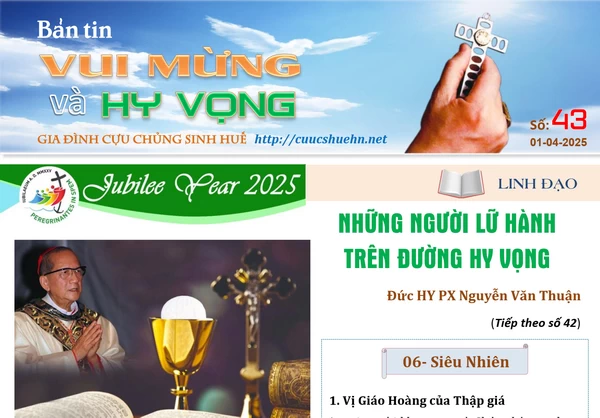 vm hv 43