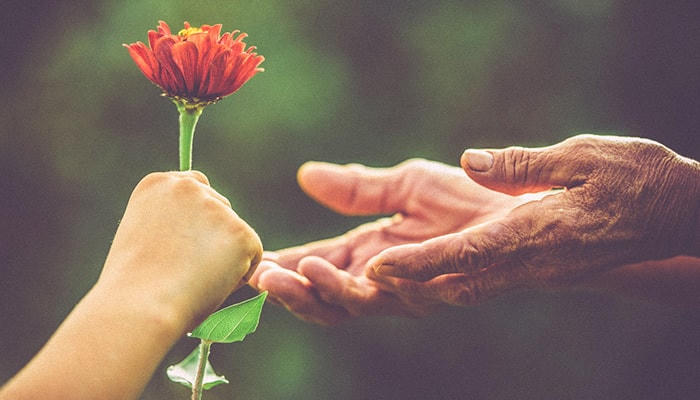 Sự tử tế là sự lựa chọn an nhiên giữa thế giới chai sạn