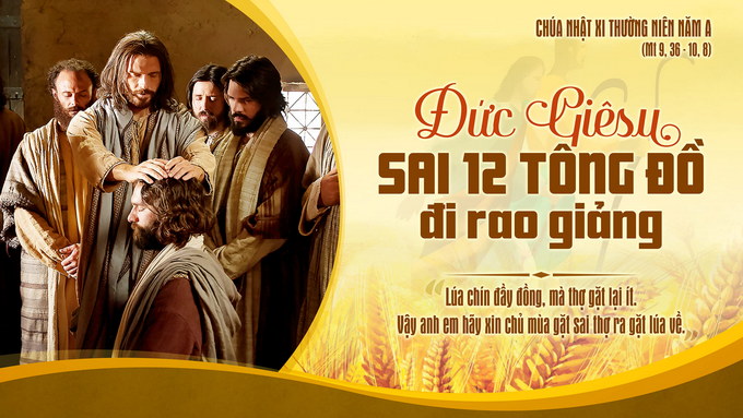 cn 11 tn a