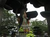 tomathienhue229