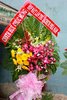 ThienHuu-PhiaNam-lan11_050