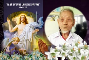 Cụ Ông Phêrô Lê Khoái (Bọ Khoái) đã được Chúa gọi về