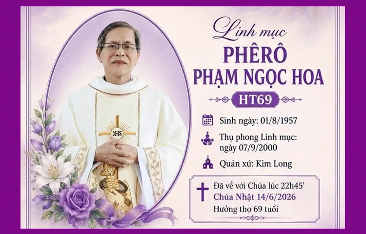 phero pham ngoc hoa