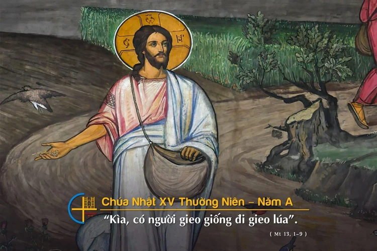 chua nhat 15 TN A
