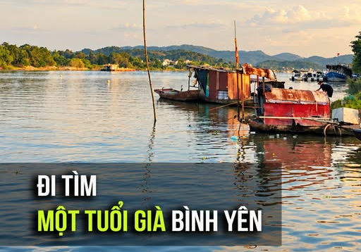 tuoi gia